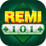 REMI 101 APP